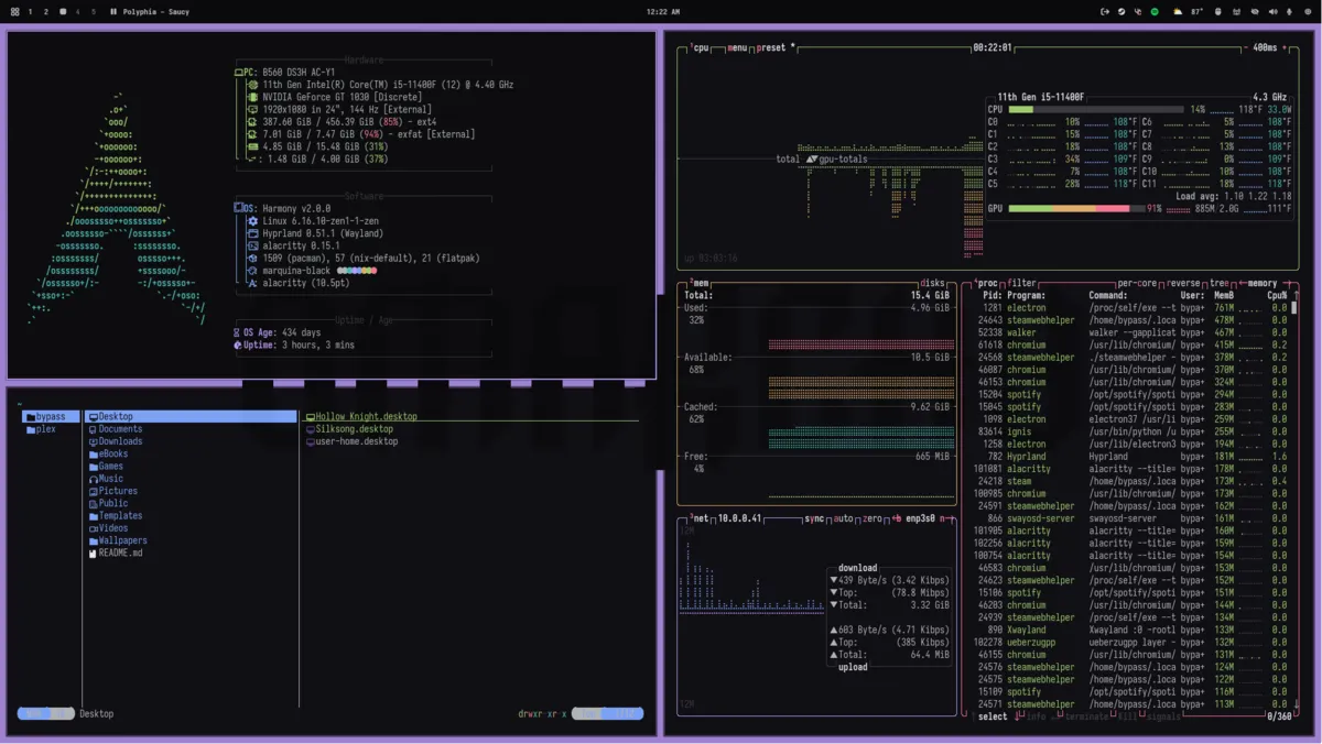 Pandora theme screenshot
